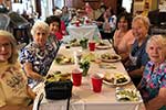 Spring Picnic 2023 Spring Picnic 2023